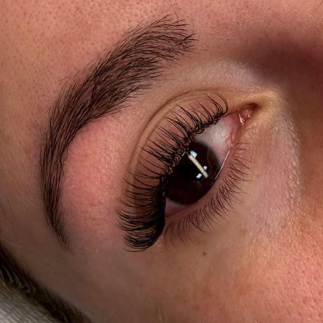 Classic Lash Membership at Mellolash in Danvers, MA